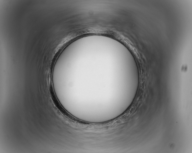 X0000098120011200804181533