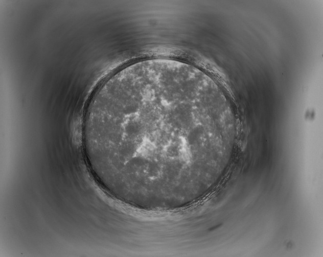 X0000098120012200804181533