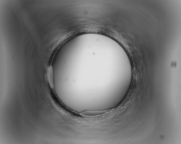 X0000098120013200804181533