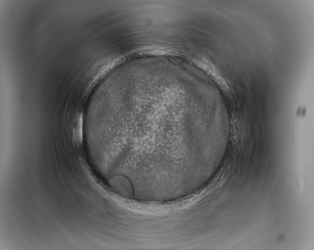 X0000098120014200804181533