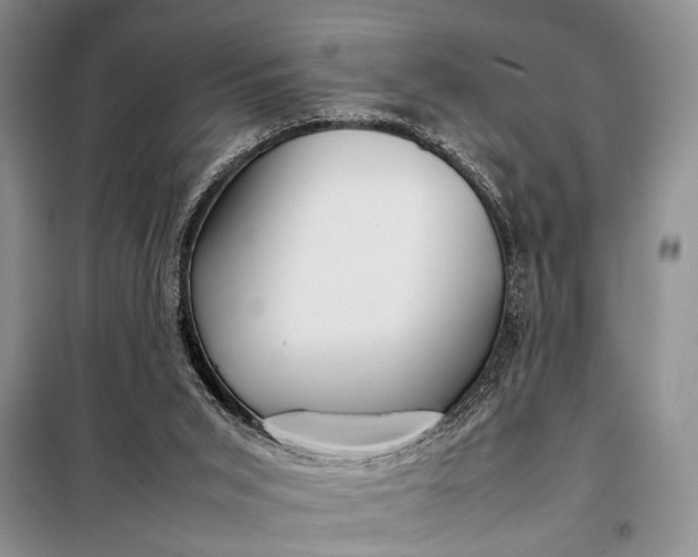 X0000098120015200804181533
