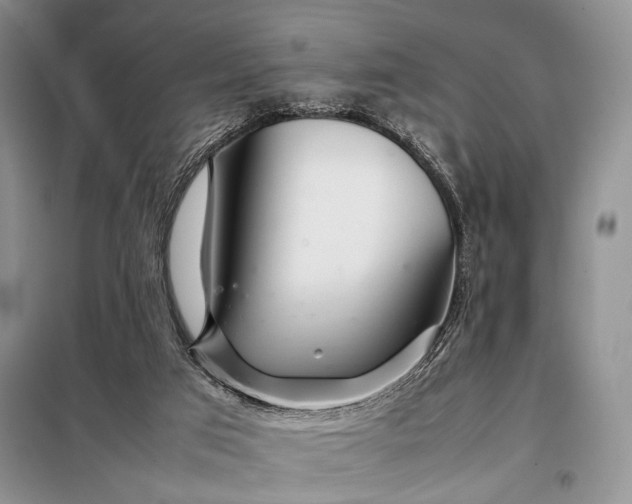 X0000098120017200804181533