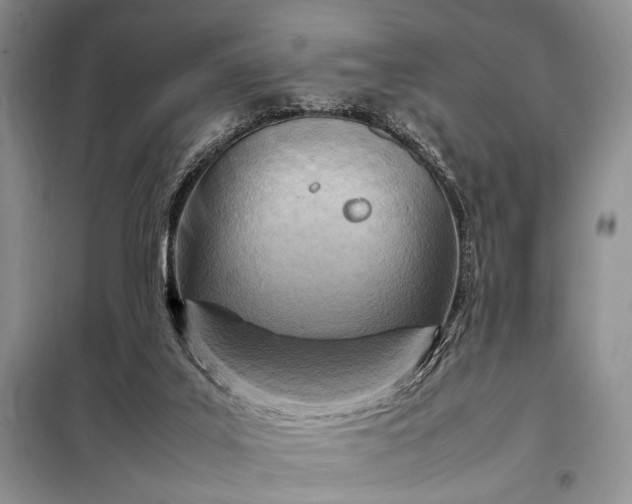 X0000098120019200804181533