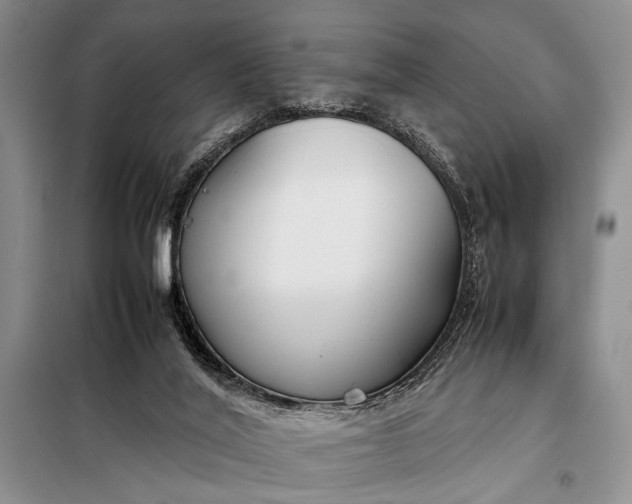 X0000098120020200804181533