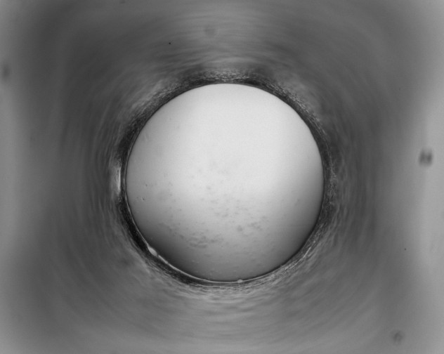 X0000098120021200804181533