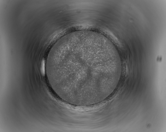 X0000098120022200804181532