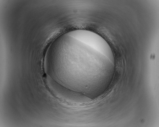 X0000098120023200804181532