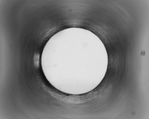 X0000098120024200804181532