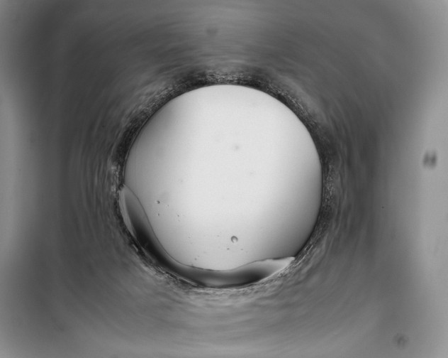 X0000098120025200804181532