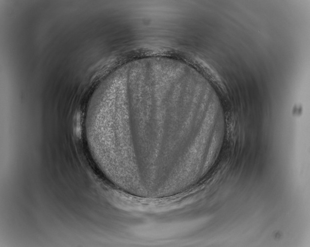 X0000098120026200804181532