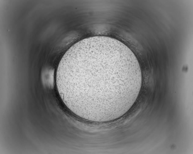 X0000098120028200804181532