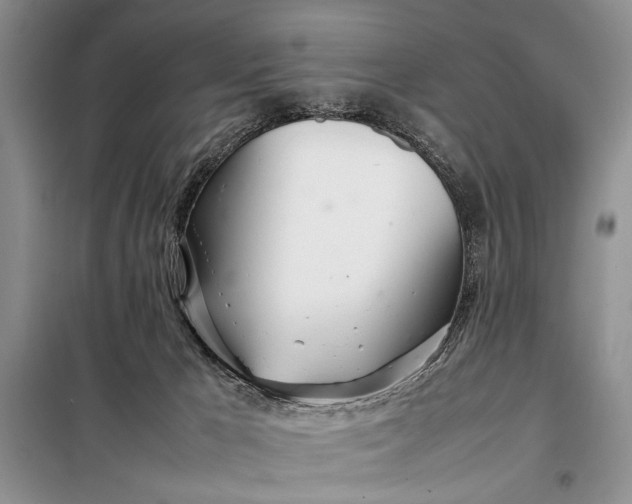 X0000098120029200804181532
