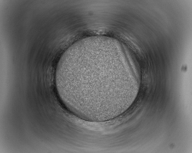 X0000098120030200804181532