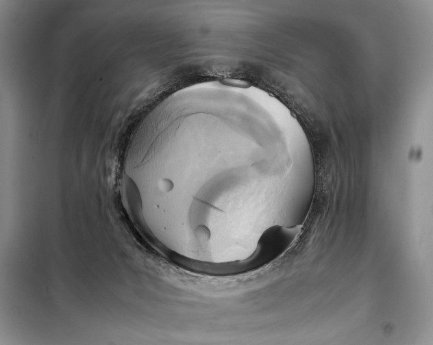 X0000098120031200804181532