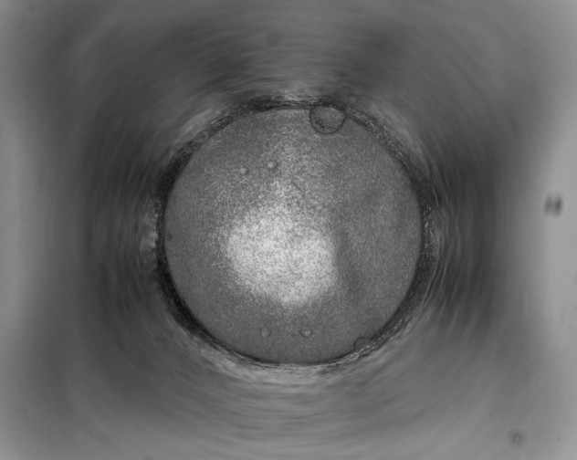 X0000098120032200804181532