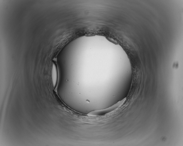 X0000098120033200804181532