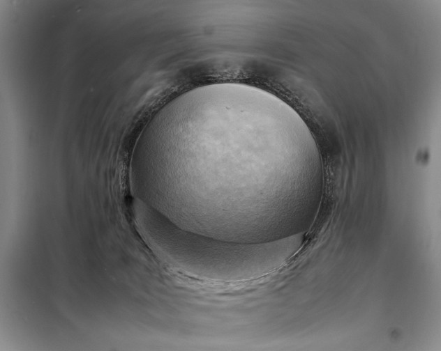 X0000098120035200804181532