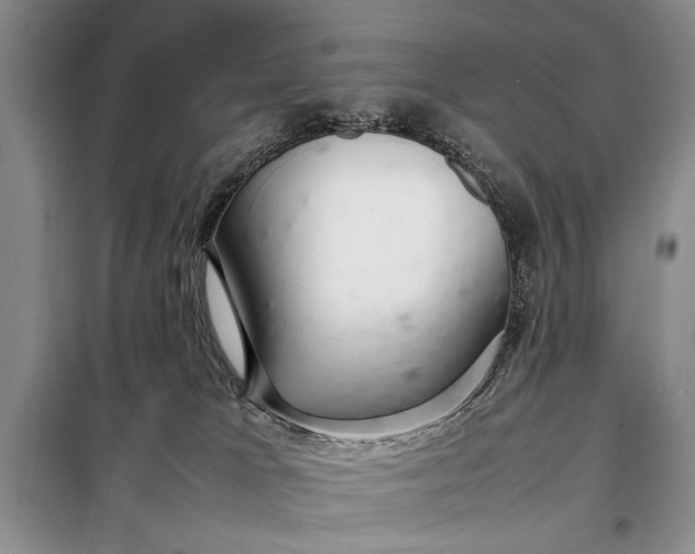 X0000098120037200804181532