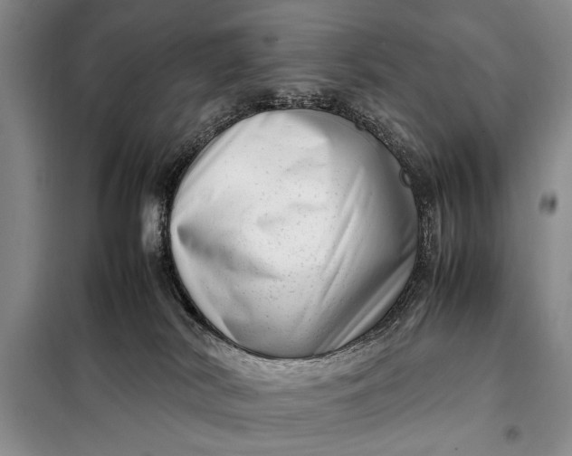 X0000098120038200804181532