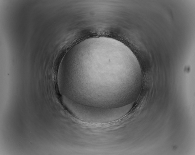 X0000098120039200804181532