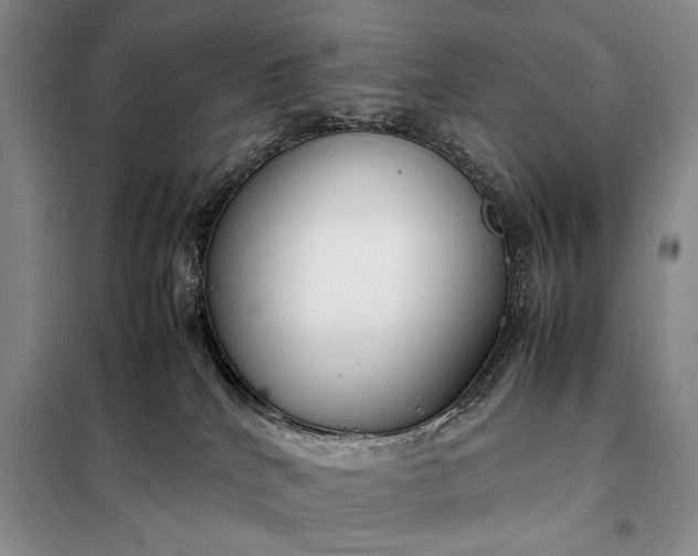 X0000098120040200804181532