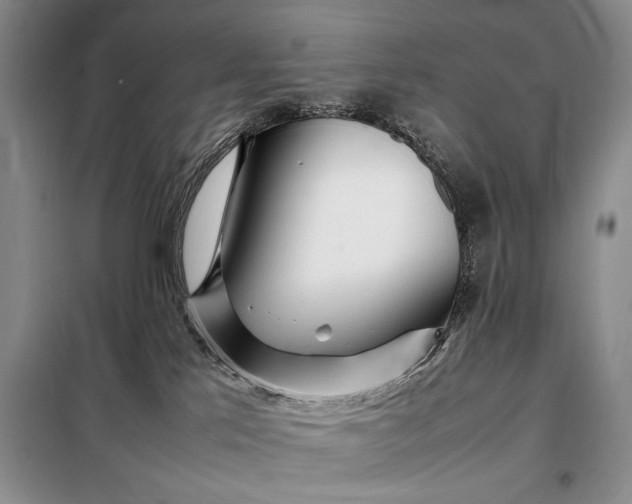 X0000098120041200804181532