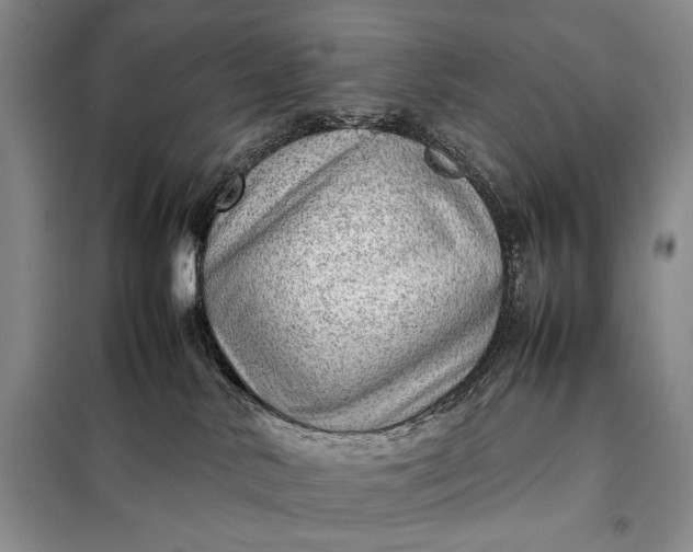 X0000098120042200804181532