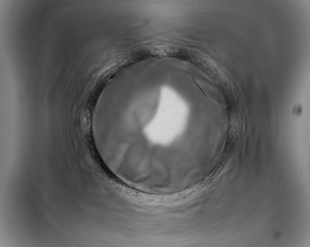 X0000098120043200804181532