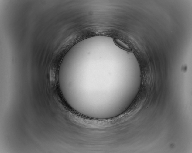 X0000098120044200804181532
