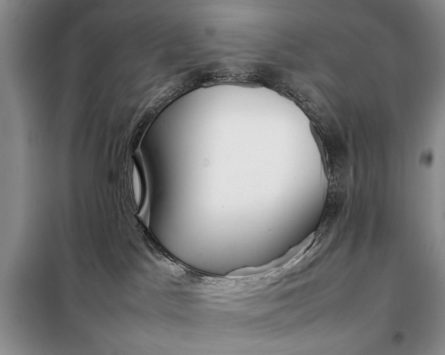 X0000098120045200804181532