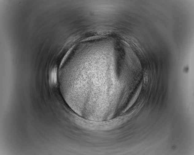 X0000098120046200804181532