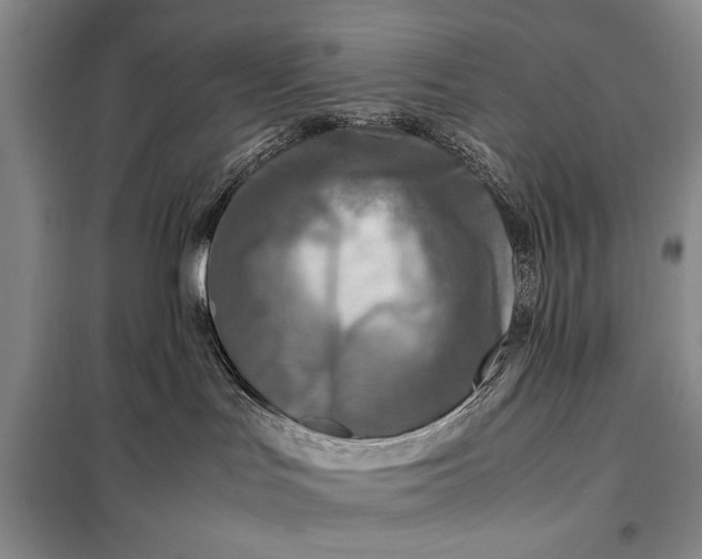 X0000098120047200804181532