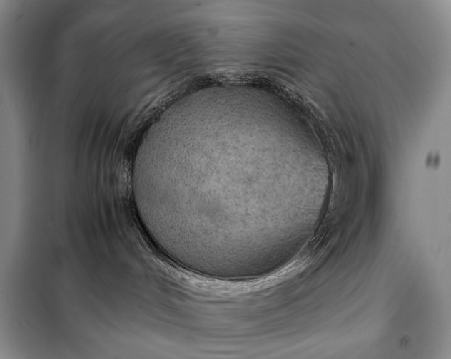 X0000098120048200804181532