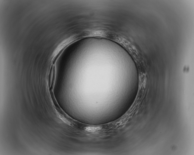 X0000098120051200804181531