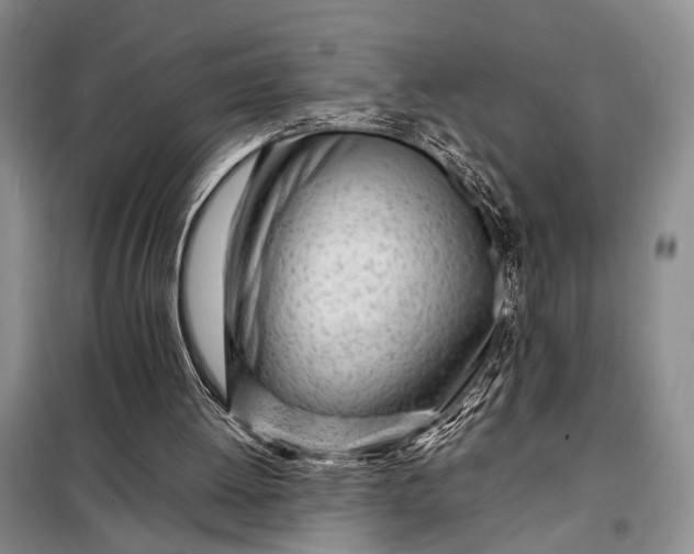 X0000098120052200804181531
