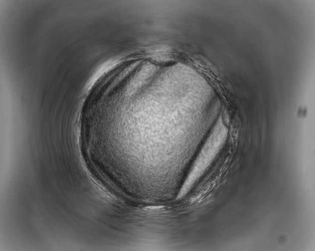X0000098120054200804181531