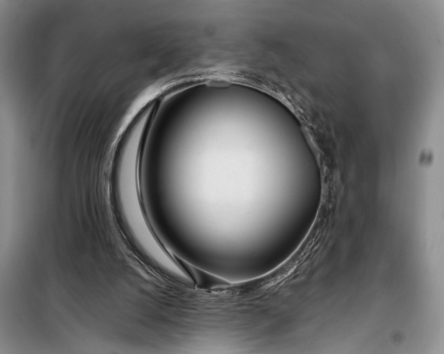 X0000098120056200804181531