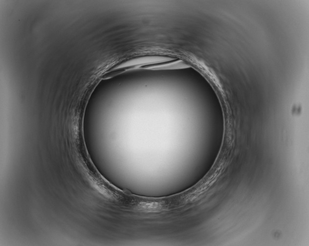 X0000098120057200804181531