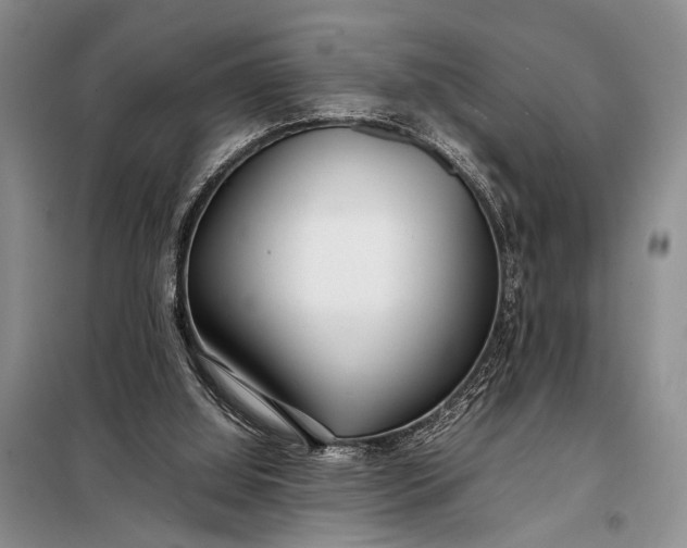 X0000098120060200804181531