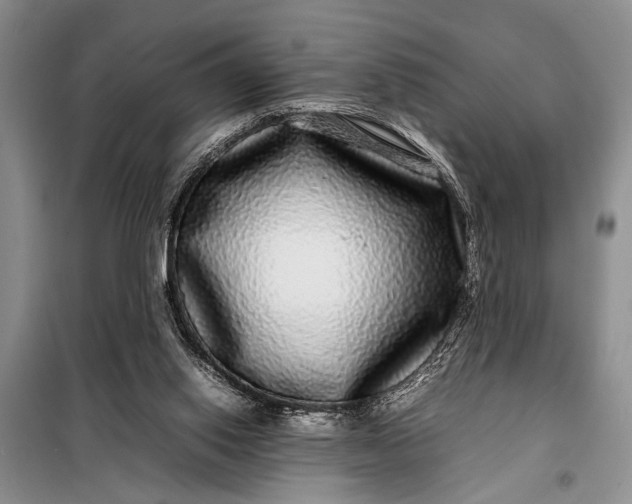 X0000098120062200804181531