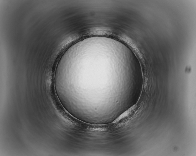 X0000098120063200804181531
