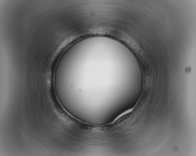 X0000098120064200804181532