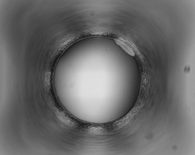 X0000098120066200804181532