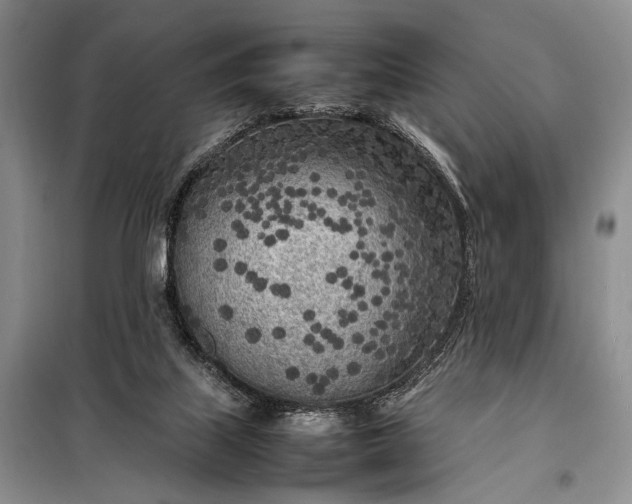 X0000098120067200804181532