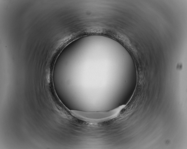 X0000098120068200804181532