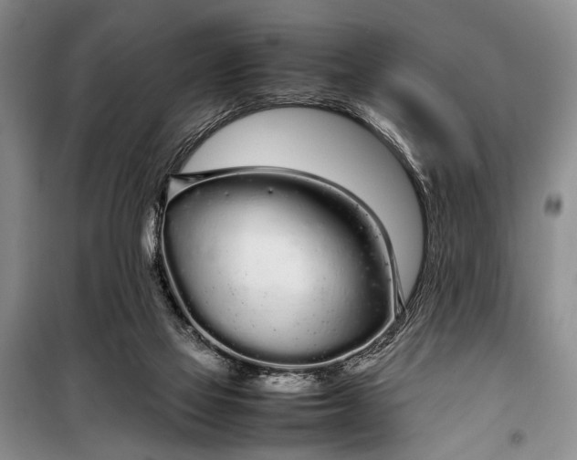 X0000098120069200804181532