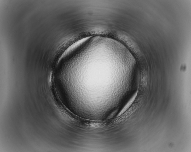 X0000098120070200804181532
