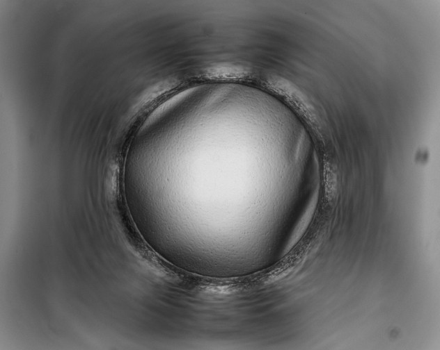 X0000098120071200804181532