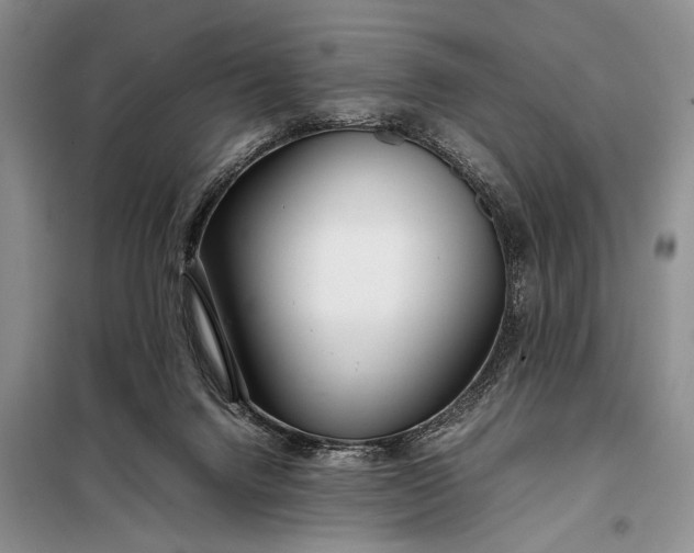 X0000098120072200804181532