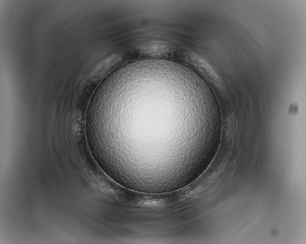 X0000098120073200804181532